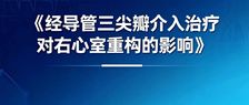 经导管三尖瓣介入治疗对右心室重构的影响
