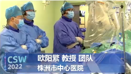 欧阳繁-LAAC手术演示一例