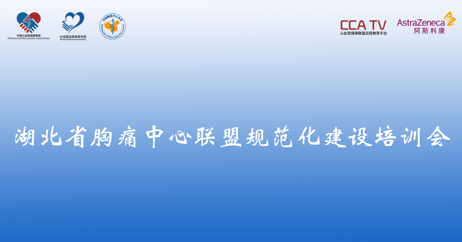 湖北省胸痛中心联盟规范化建设培训会