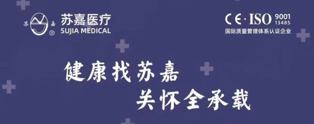 浙江苏嘉