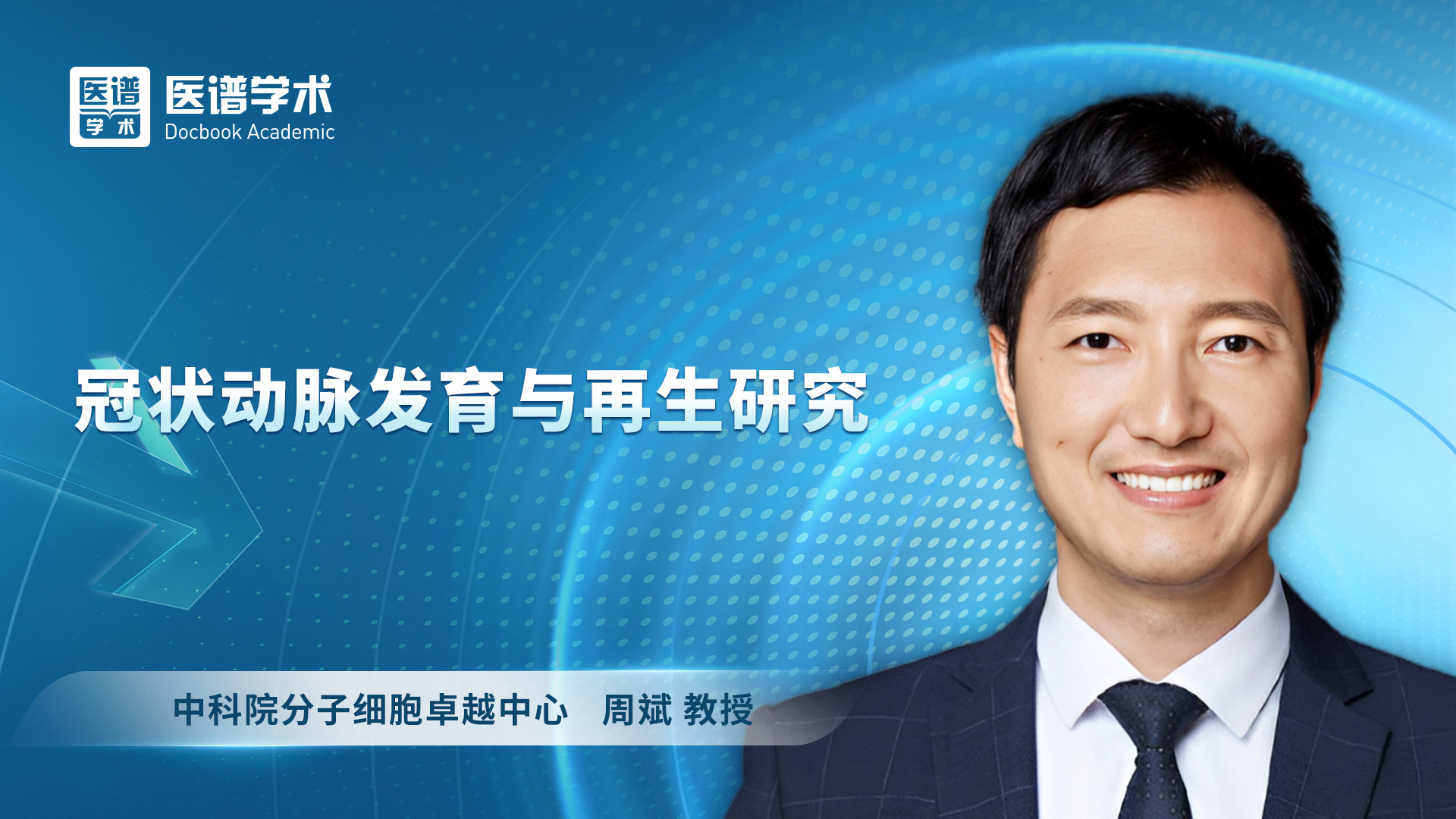 周斌-冠状动脉发育与再生研究